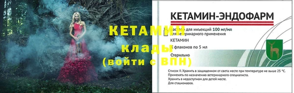 шишки Богородицк