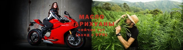 шишки Богородицк
