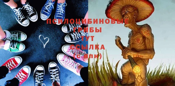 шишки Богородицк