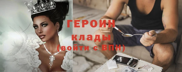 шишки Богородицк