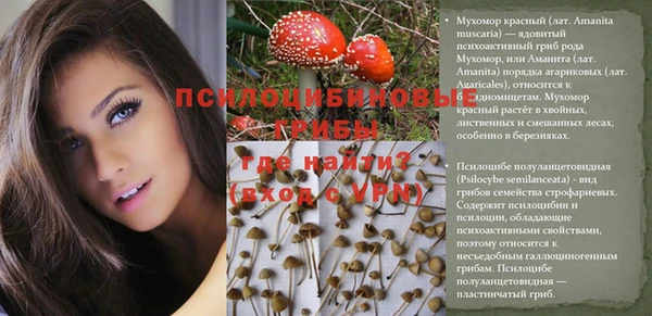 шишки Богородицк