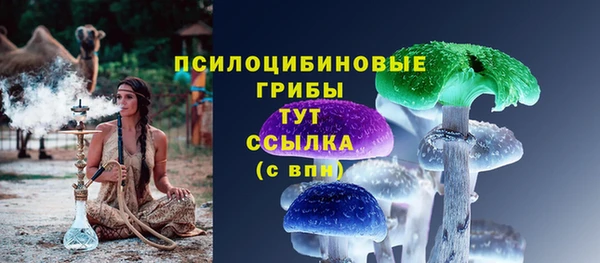 COCAINE Богданович