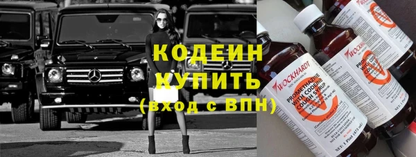 шишки Богородицк