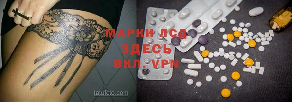 шишки Богородицк